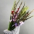 Букет из 25 гладиолусов микс в Люберцах Букет из 25 гладиолусов микс в Люберцах