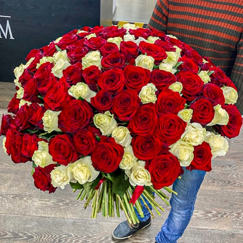 Букет 151 роза красный и белый микс (60 см) в Люберцах