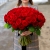 101 красная роза (50 см) в Люберцах