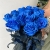 15 синих LUX роз Эквадор (70 см) в Люберцах 15 синих LUX роз Эквадор (70 см) в Люберцах
