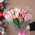 Букет "Фламинго" из 11 пионовидных тюльпанов в Люберцах