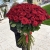 Букет из 101 красной розы (90 см) в Люберцах