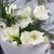 Букет "Путеводная звезда" из белых амариллисов и нобилиса в Люберцах Букет "Путеводная звезда" из белых амариллисов и нобилиса в Люберцах