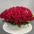 Композиция в корзине из 75 красных роз в Люберцах