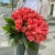 Букет 51 роза коралл (60 см) в Люберцах Букет 51 роза коралл (60 см) в Люберцах
