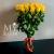 Букет 25 желтых роз эквадор (60 см) в Люберцах Букет 25 желтых роз эквадор (60 см) в Люберцах