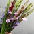 Букет из 25 гладиолусов микс в Люберцах Букет из 25 гладиолусов микс в Люберцах